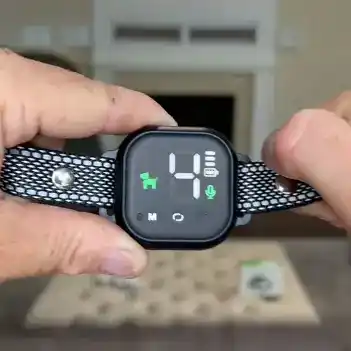 NooBark NooBark Reviews